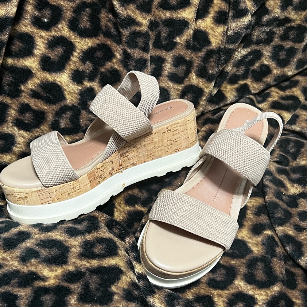 Wedges - Picture 6 of 7
